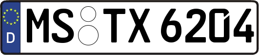 MS-TX6204