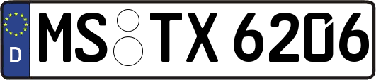 MS-TX6206