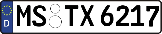 MS-TX6217