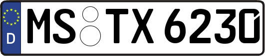 MS-TX6230