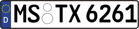 MS-TX6261