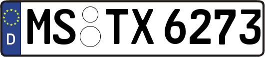 MS-TX6273