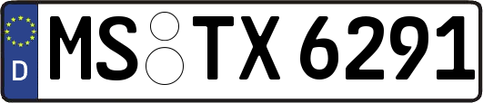 MS-TX6291