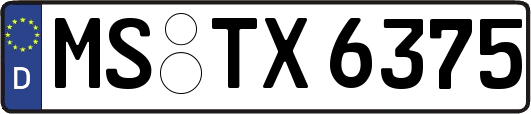 MS-TX6375