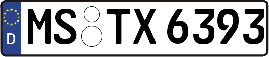 MS-TX6393