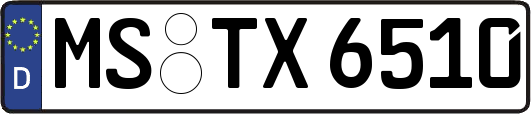 MS-TX6510