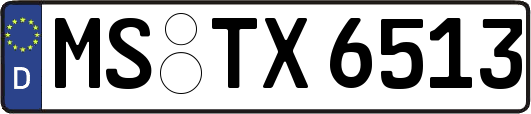 MS-TX6513
