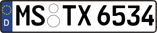 MS-TX6534