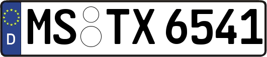 MS-TX6541