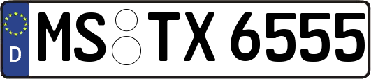 MS-TX6555
