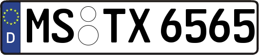 MS-TX6565