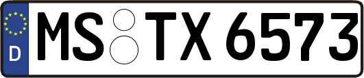 MS-TX6573