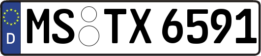 MS-TX6591
