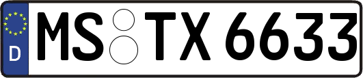 MS-TX6633