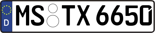 MS-TX6650