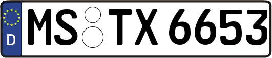 MS-TX6653