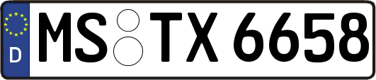 MS-TX6658