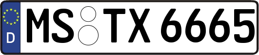 MS-TX6665