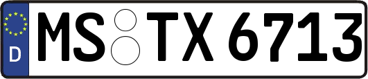 MS-TX6713