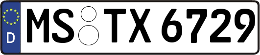 MS-TX6729
