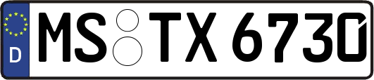 MS-TX6730