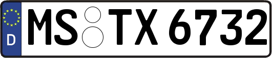 MS-TX6732