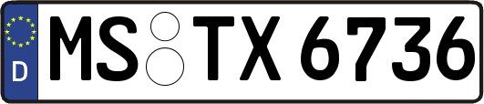 MS-TX6736