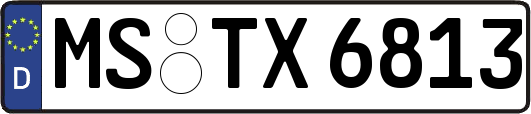 MS-TX6813