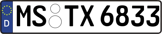 MS-TX6833