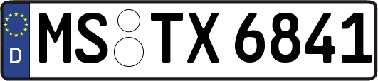 MS-TX6841