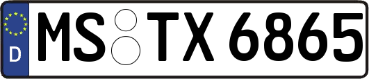 MS-TX6865