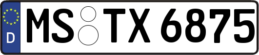 MS-TX6875