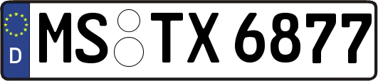 MS-TX6877