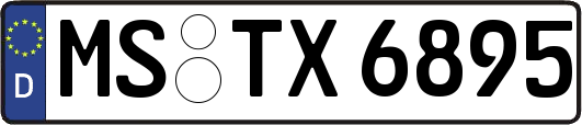 MS-TX6895