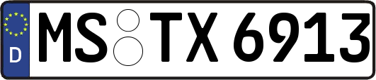 MS-TX6913