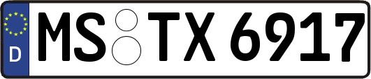 MS-TX6917