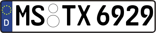 MS-TX6929
