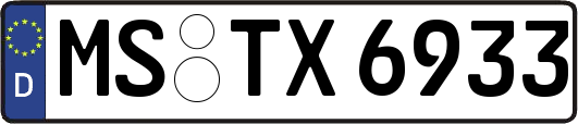 MS-TX6933