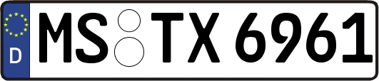 MS-TX6961