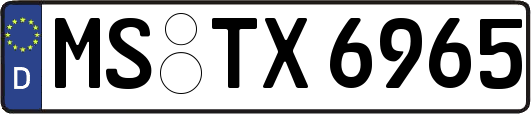 MS-TX6965