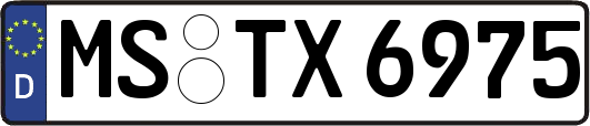 MS-TX6975