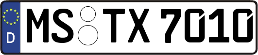 MS-TX7010