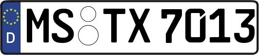 MS-TX7013