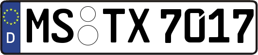 MS-TX7017