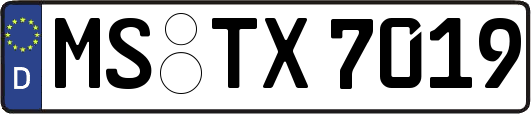MS-TX7019