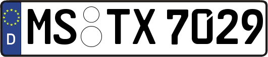 MS-TX7029