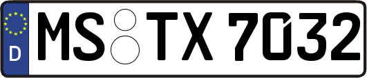 MS-TX7032