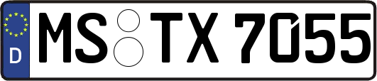MS-TX7055