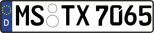MS-TX7065