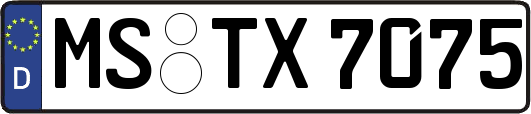 MS-TX7075